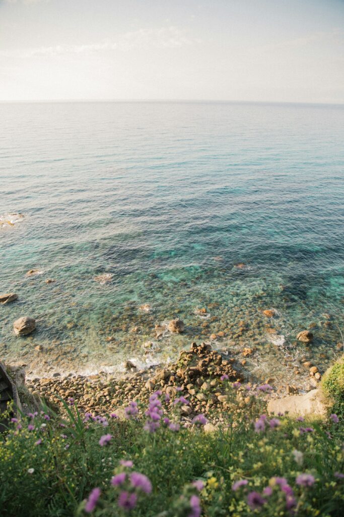 Immagine in evidenza di Hello World